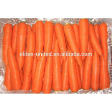 Precio chino de la zanahoria fresca orgánica